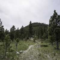 Starting the Mount Ascension Trail in Helena