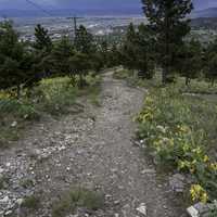 The powerline trail up Mount Helena