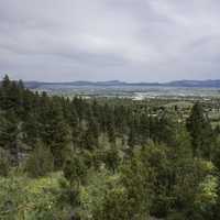 Trees with sky and clouds with the town of Helena