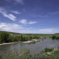 Birds flying over the river in Montana