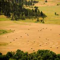 Hay bales in the landscape