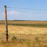 Montana Driveway landscape