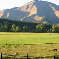 Ranch landscape with mountain near Superior, Montana