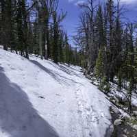 Snow sloping down the mountain in Elkhorn