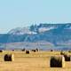 Square Butte Landscape, Montana