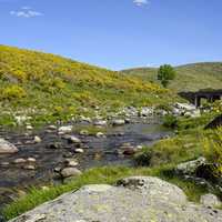Stream and River landscape in Montana