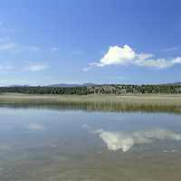 Wetlands across a pond in Montana