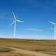 Windmills and Cattle in the Landscape