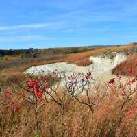 Dunes, Grass, landscape, and house