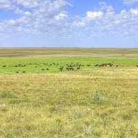 Landscape at Panorama Point, Nebraska