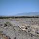 Furnace Creek oasis landscape at Death Valley National Park, Nevada