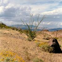 Lake Mead  Photos