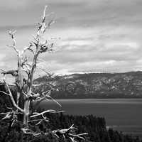 Emerald Bay monochrome landscape in Lake Tahoe