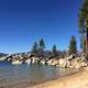 Forest on a Beach landscape in Lake Tahoe, Nevada