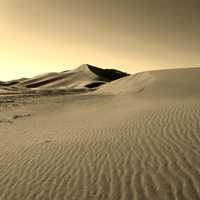 Desert Sands and landscape