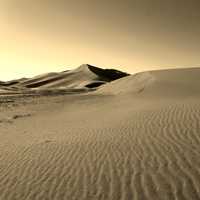 Desert Sands and landscape