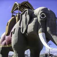 Lucy the Elephant in nearby Margate City in New Jersey