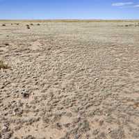 Desert and grass at Juan largo Canyon in New Mexico