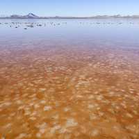 Lordsburg Playa