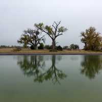 Fish pond and aquatic culture with reflections