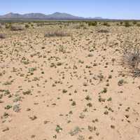 Hachita Valley desert landscape in New Mexico