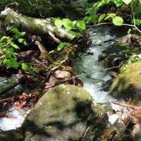 Babbling Brook in the Adirondack Mountains, New York