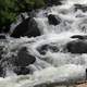 Close-up of Cascading brook in Adirondack Mountains, New York