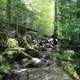 More trail at Adirondack Mountains, New York