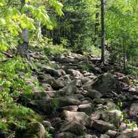 Pathway Up in Adirondack Mountains, New York