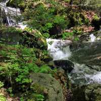 Raging Brook in the Adirondack Mountains, New York