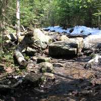 Scenery on the Mountain in the Adirondack Mountains, New York