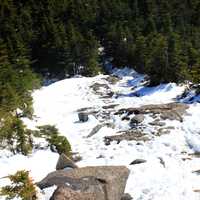 The Trail Down in the Adirondack Mountains, New York