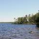 Tupper Lake Shoreline in Adirondack Mountains, New York