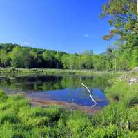 Pond on the Island at Wellesley Island State Park, New York