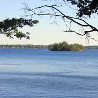 St. Lawrence through the Trees at Wellesley Island State Park, New York