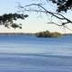 St. Lawrence through the Trees at Wellesley Island State Park, New York