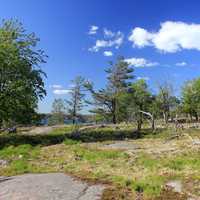 Top of the Hill at Wellesley Island State Park