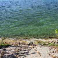 Water of the Seaway at Wellesley Island State Park, New York