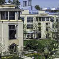 Levine Science Research Center at Duke University, North Carolina