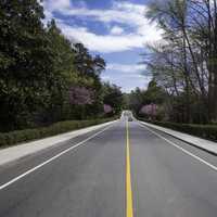 Road under the skies in the Gardens in Duke University in Durham, North Carolina