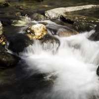 Close-up of rapids and cascades in the river at Great Smoky Mountains National Park, North Carolina
