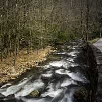 Downstream rapids in Great Smoky Mountains National Park, North Carolina