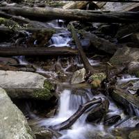 Great Smoky Mountains National Park  Photos