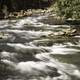 Rapids on the River in Great Smoky Mountains National Park, North Carolina