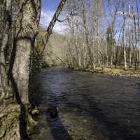 River landscape in Great Smoky Mountains National Park, North Carolina