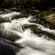 Rushing water of the River at Great Smoky Mountains National Park, North Carolina