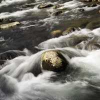 Water and Rapids rushing in the river at Great Smoky Mountains National Park, North Carolina