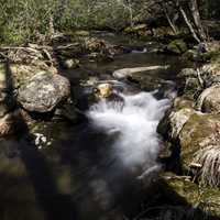 Water Cascading Rapids in Great Smoky Mountains National Park, North Carolina