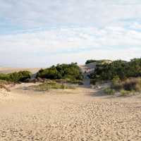 Jockey's Ridge sand and landscape in North Carolina