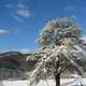 Snow in Old Fort, North Carolina